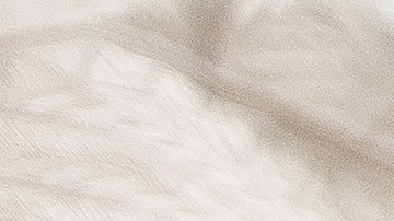 La madre aseguró que su bebé terminó con marcas y en estado de shock.