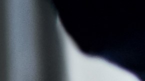 shutterstock_1331237507