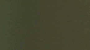 Varios estudios han demostrado que cuando aumenta el uso de la televisión o los videojuegos, el coeficiente intelectual disminuye, sostiene el neurocientífico Michel Desmurget.