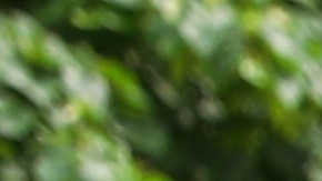 Un agente encubierto del FBI se hizo pasar como alumno del profesor.