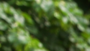 Un agente encubierto del FBI se hizo pasar como alumno del profesor.