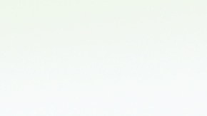 Científicos en Washington colocaron dispositivos de seguimiento en los insectos usando hilo dental.