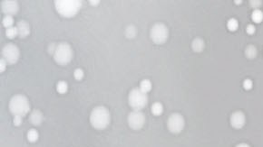 shutterstock_1726904200