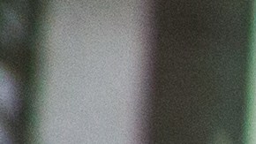 La gente ha reconocido el buen corazón de los cantantes.