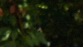 La pequeña fue encontrada con heridas en las manos.