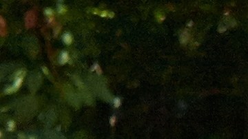 La pequeña fue encontrada con heridas en las manos.