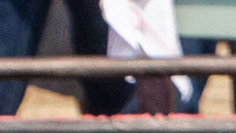 El animal le causó una grave herida.