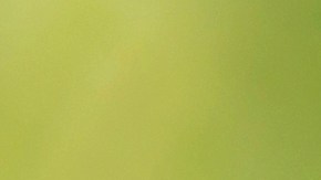 El niño se escapó con su hermano de casa por la noche para reunirse con unos "amigos".