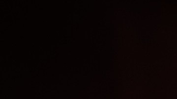 shutterstock_391959181