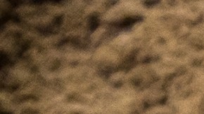 Ya el año pasado, padre e hijo ya habían encontrado algunos fósiles en esta zona.