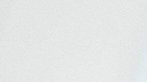 Perro en el veterinario