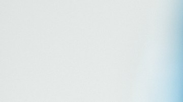 Perro en el veterinario