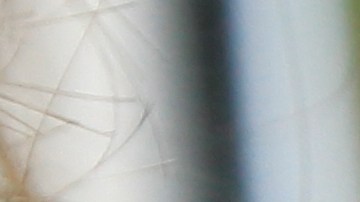 Quizá sea el momento de cambiar de teléfono.