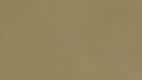 La mujer decía en su nota ya no soportar la "tortura" de su hija por su mala conducta.