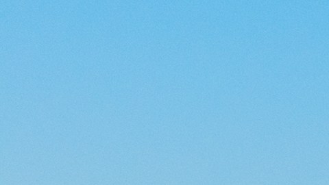 El león marino se desplazó cerca de 10 cuadras.