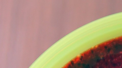 Jugo de ciruela