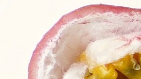 Batidos