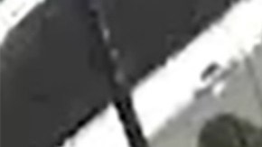 Imagen de los sospechosos