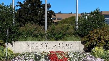 Universidad Stony Brook (Long Island, NY)
