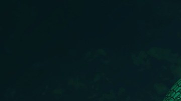 Las sirenas son criaturas muy populares en relatos mitológicos.