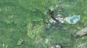 Shiva dice que ha salvado 114 vidas hasta ahora.