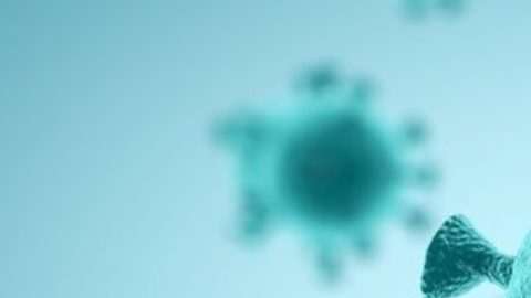 La oleada actual de covid-19 en Europa puede deberse a una variante mucho más infectiva que la de la primavera, aunque no más letal.