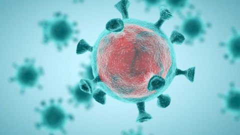 La oleada actual de covid-19 en Europa puede deberse a una variante mucho más infectiva que la de la primavera, aunque no más letal.