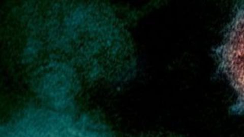 Los científicos no descartan que el misterioso gen hallado contribuya a la biología única del virus.