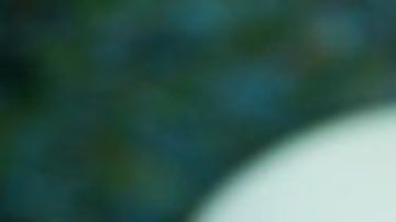 Más de 30 estados de EE.UU. se sumaron a la demanda colectiva.