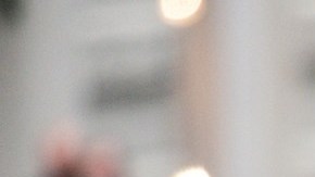 Policía patrulla Viena tras el atentado