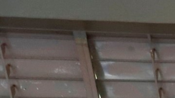 Elecciones 2020 Puerto Rico