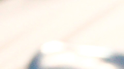 El ex alcalde de la ciudad de Nueva York, David Dinkins, durante un partido en el Abierto de Tenis de EEUU.