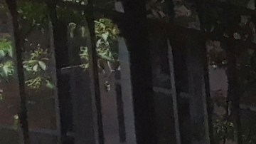 Muchos aún están en ascuas