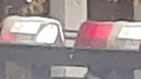 Agentes y patrulla NYPD.