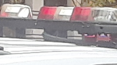 Agentes y patrulla NYPD.