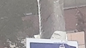 Votar es un deber y un derecho