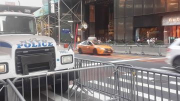 NYPD en la 5ta Avenida, 2020