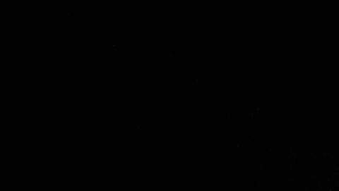 Elecciones 2020 Florida