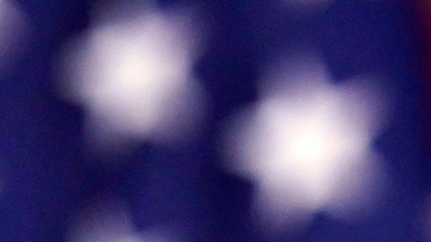 Trump durante su discurso del martes.
