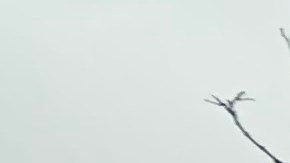 Staten Island, condado de NYC.