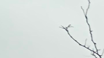 Staten Island, condado de NYC.