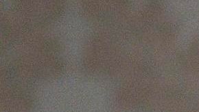 Se sabe que alguien ajeno al papa lleva sus cuentas en redes sociales.