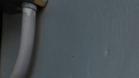 Elecciones 2020 Puerto Rico