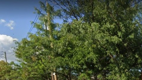 331 Bay St, Staten Island, NYC/Archivo.