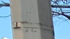 Tras salir de una despensa en Queens, la dominicana Minerva Fernández aseguró que cada vez hay más hambre en NYC y pidió más ayuda