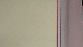 Las comunidades de color fueron las más afectadas por la pandemia en Nueva York.  