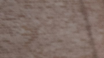  En la Ciudad de Nueva York, la Junta de Elecciones va a necesitar inspectores electorales, intérpretes y estudiantes para trabajos generales en los sitios de votación.