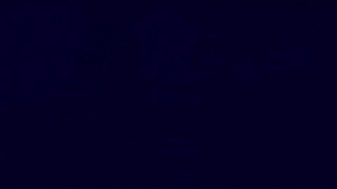 La mujer aseguró que el triunfo de Biden le hará recuperar la salud.