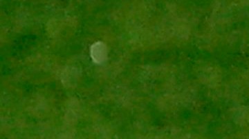 Joselu fue el autor del segundo gol de los albiazules.