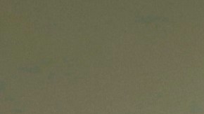 Elecciones 2020 Puerto Rico